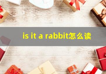 is it a rabbit怎么读